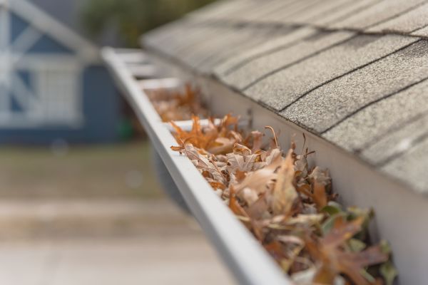 Leaf Barrier Installation in Stafford