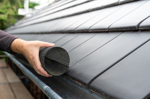 Gutter Mesh Installation in Stafford